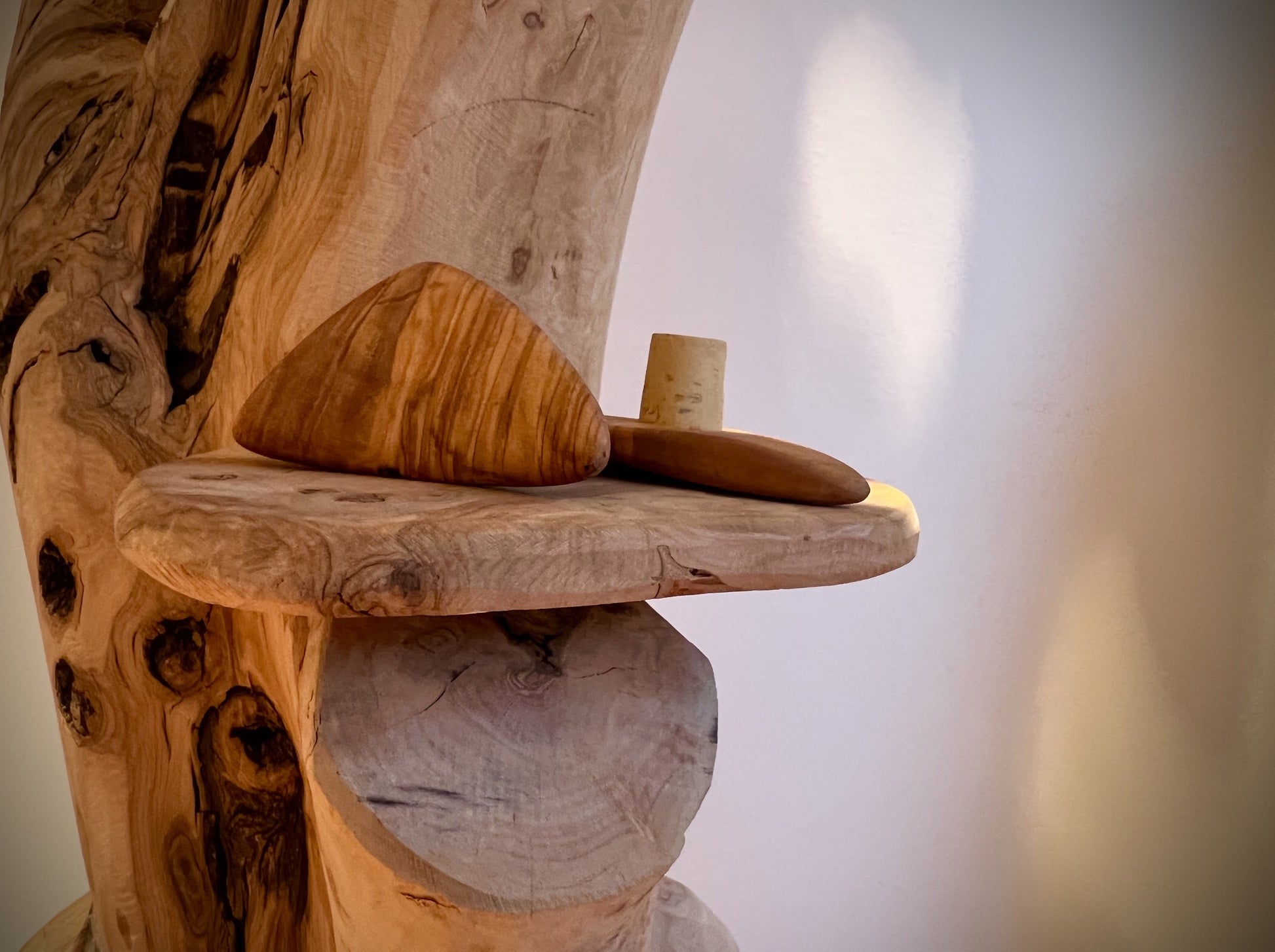 Olizon, Flaschenverschluss aus Olivenholz